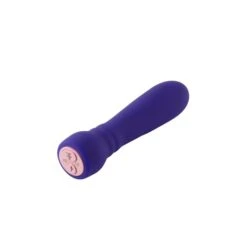 FemmeFunn Booster Bullet Powerful Silicone Vibrator -Adult Product Store a5cc2d78f60efa727507d9fe25ca8d73af89692ce8109391fc82dd86c2e8e8bc
