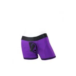 SpareParts Tomboii Brief Style Harness -Adult Product Store spareparts tomboii brief 4 purple spectrum boutique 4